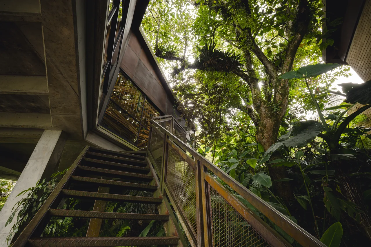 Arquitectura de hotel integrada con la vegetación